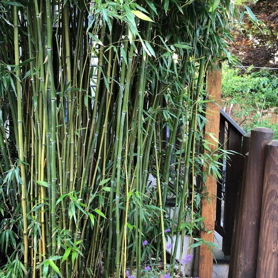 세일럼 Northey Street House B&B 외부 사진